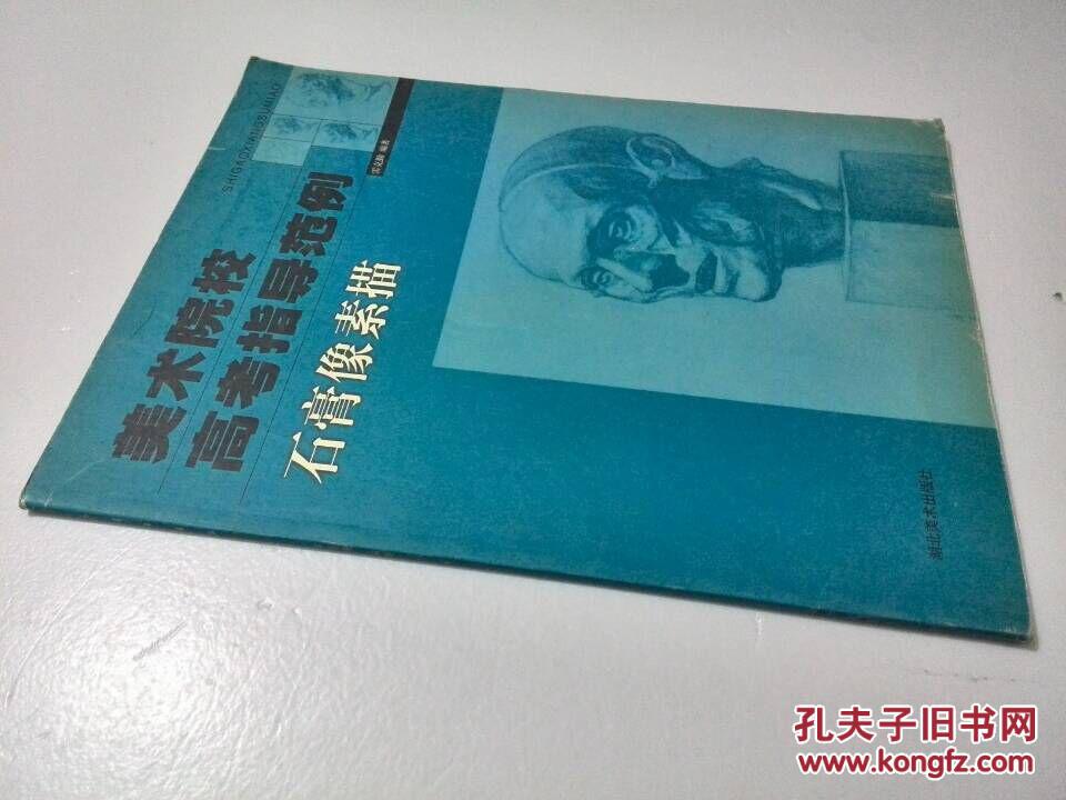 美術(shù)院校高考指導(dǎo)范例.石膏像素描