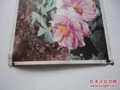 明信片 花卉（1）