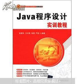 Java程序设计实训教程