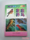 现代家庭生活丛书《家庭养鸟》【1999年8月一版二印】