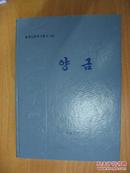 양금  （조선민족악기총서6） 扬琴 （朝鲜民族乐器丛书6）（朝鲜文版 16开本精装）