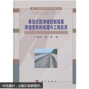 悬挂式防渗墙控制堤基渗透变形的机理与工程应用