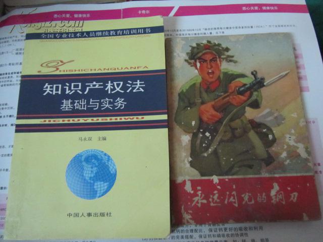 知识产权法基础与实务