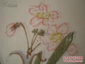 中国传统名笺-----酒中仙笺----宣纸彩印信笺--------------一套20页