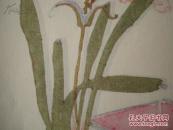 中国传统名笺-----酒中仙笺----宣纸彩印信笺--------------一套20页