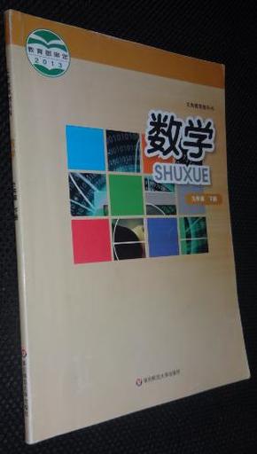 数学:九年级.下册