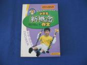 小学生新概念作文