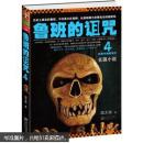 鲁班的诅咒4武夷竹海阴宅村