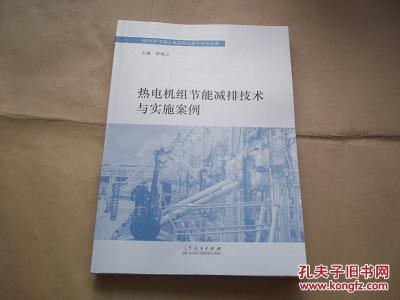 熱電機組節(jié)能減排技術(shù)與實施案例（世行GEF中國火電效率山東子項目成果，16開本）