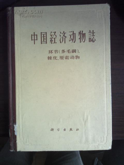 中国经济动物志 环节（多毛纲）、棘皮、原索动物