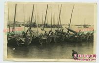 民国山东青岛海岸码头停泊的众多渔船老照片。14.1X9.1厘米