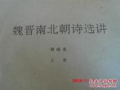 【盲文版书籍】 魏晋南北朝诗选讲（上册）