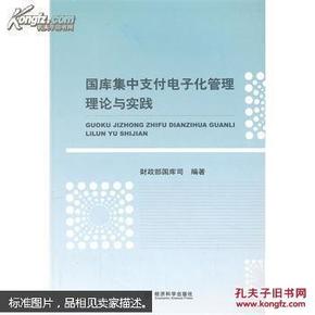 国库集中支付电子化管理理论与实践