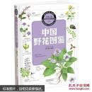 中国野花图鉴