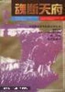 魂断天府: 蒋介石在大陆最后时刻