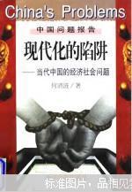 现代化的陷井:当代中国的经济社会问题  保证正版原版