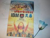 IBM风暴——世界最大计算机王国之谜