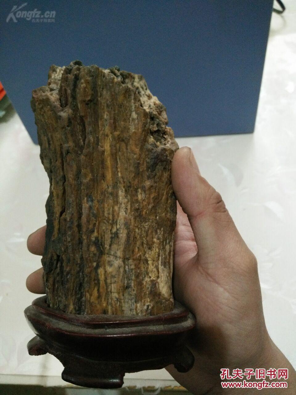 树化石一个 高17厘米(带底座,化石高16厘米) 重1.