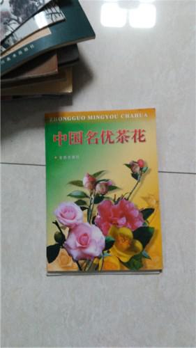 中國名優(yōu)茶花