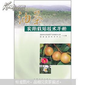 油茶树种植书  茶油树栽培书 种茶子树书 油茶实用栽培技术手册