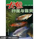 龙鱼饲养书 养金龙鱼书 养红龙鱼书 龙鱼养殖与鉴赏