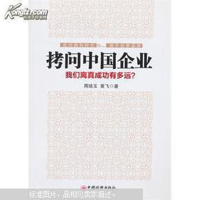 拷问中国企业 : 我们离真成功有多远？