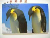 企鹅明信片12枚