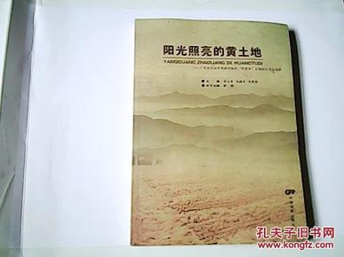 阳光照亮的黄土地:广河县非公有制经济组织“党建杯”全国征文作品选辑