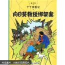 向日葵教授绑架案（大本）