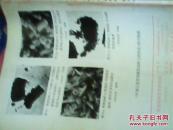 景德镇陶瓷学院学报1985（第六卷 第一期）.