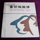 意识与批评【现象学、阐释学和文学的意思】