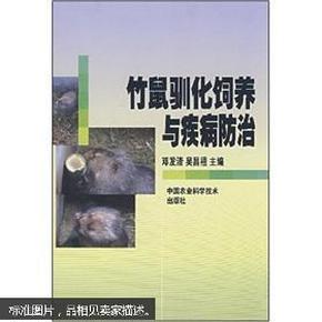 竹鼠人工养殖技术书籍 竹鼠的高产养殖技术（视频U盘）+1书