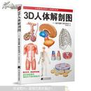 3D人体解剖图