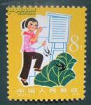 T41从小爱科学6-5