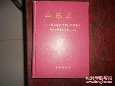 山东王因:新石器时代遗址发掘报告（考古学专刊 丁种第四十五号）