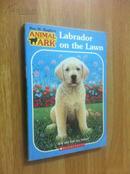 Animal Ark:Labrador on the Lawn
