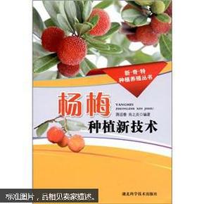 杨梅种植新技术