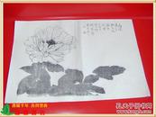 《写意花卉技法探讨插图·全套35张第34张·勾填法多在》，1978年8月著名国画家康师尧在西安美术学院“写意花卉技法探讨”讲课稿，1978年康师尧制稿，木板水印，单面印制，8开，39厘米×27厘米