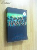 Soul Harvest: The World Takes Sides (Book Four)【末世迷踪：夺灵大战，蒂姆·莱希、杰里·詹金斯，英文原版】