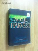 Soul Harvest: The World Takes Sides (Book Four)【末世迷踪：夺灵大战，蒂姆·莱希、杰里·詹金斯，英文原版】