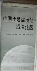 中国土地盐渍化沼泽化图（1:6000000）中国环境地质图系