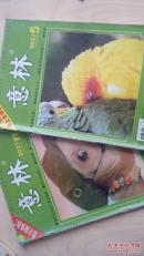 意林