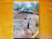 流血的江河  不屈的佤山——滇西南“11.6"地震纪实文学集