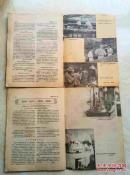 药学通报 1955年10月号 11月号 12月号