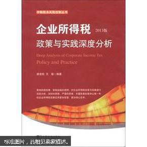 中翰税务风险控制丛书：企业所得税政策与实践深度分析（2013版）