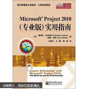 项目管理核心资源库·工具和实践类：Microsoft Project 2010（专业版）实用指南