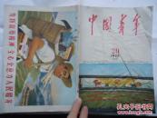 中国青年1965-20漂亮的封面封底画