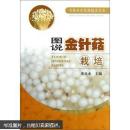 金针菇种植方法技术教学图书 名菇高效栽培技术丛书：图说金针菇栽培
