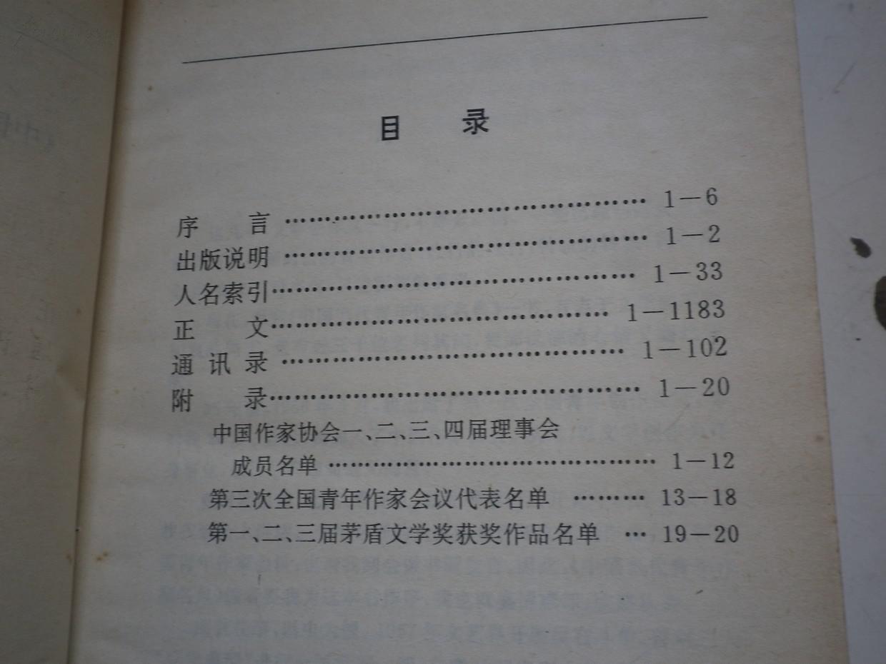 中国当代青年作家名典