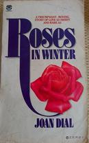 Roses in Winter  英文原版